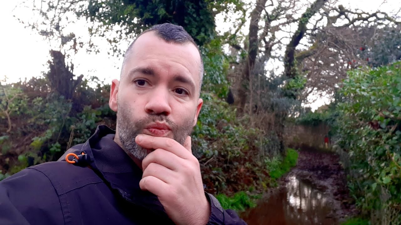 A Goose pecked my Arse here 😒 Goosey Walk /Lane #animals #comedy #Report 