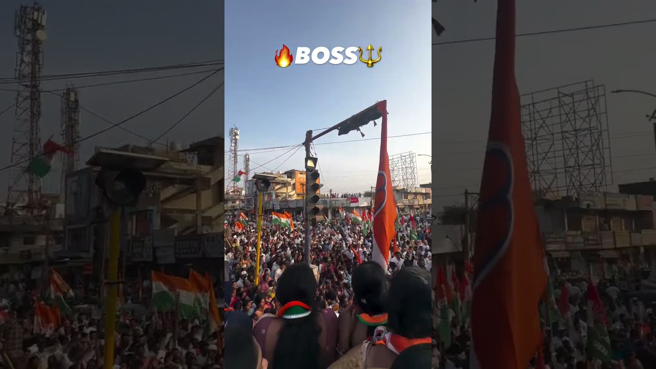 🦁🔥🔥🔥🔥🔥🔥