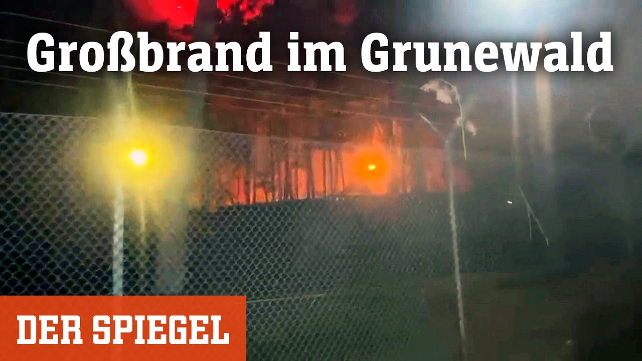 Großbrand im Grunewald: »Die ersten Einsatzkräfte waren in höchster Lebensgefahr« | DER SPIEGEL