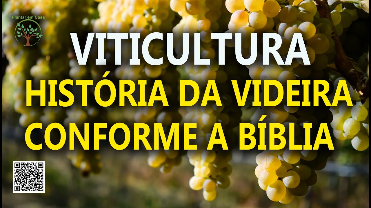 Videira na Historia Bíblica em Explicação com Sergio Semerjian