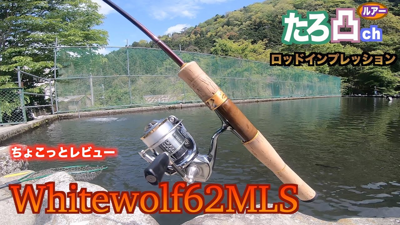 見つけたら即買い！万能ロッドをレビュー