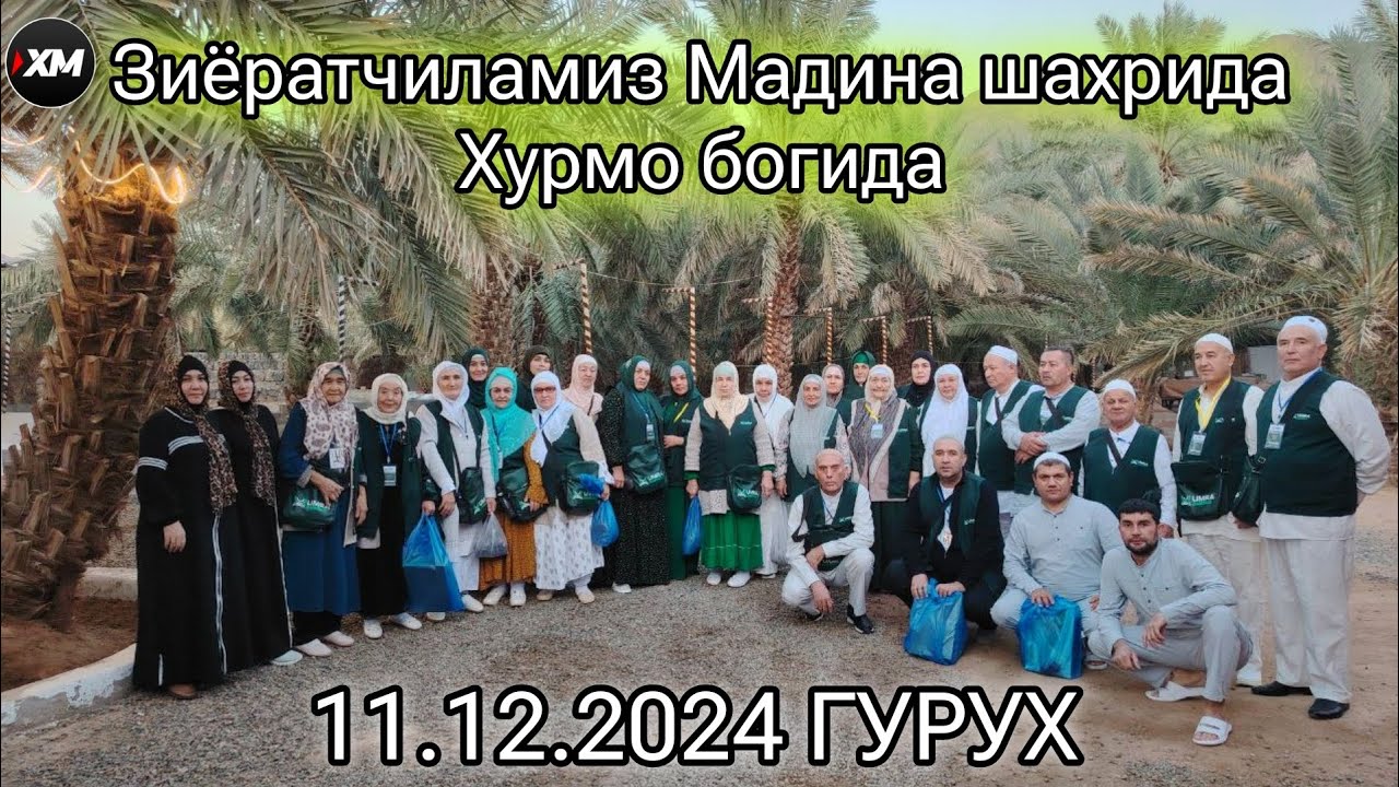 12.11.2024 Зиёратчиламиз Мадина шахрида Хурмо богида #xorazmmedia #kaba #kabalive #kabatullah