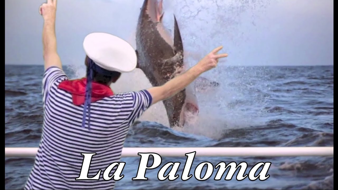 La Paloma - funny Harmonica by Harproli