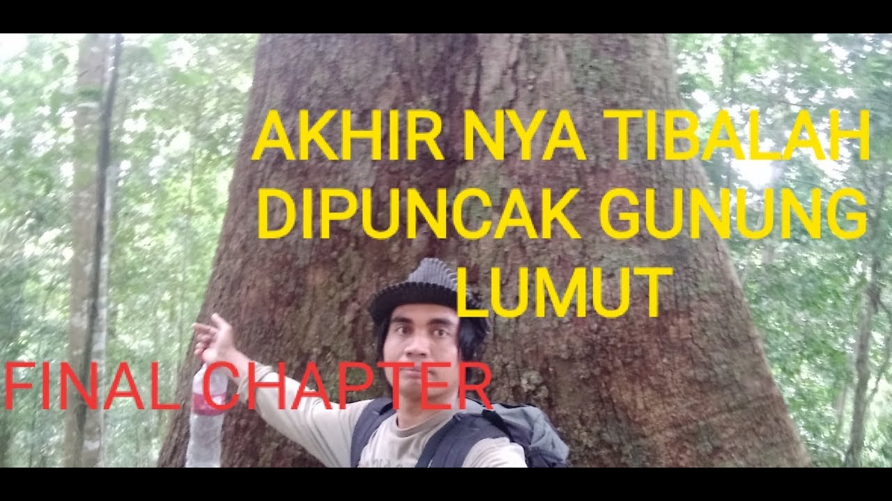 EXPEDISI 1 GUNUNG LUMUT PASER JALUR DESA PINANG JATUS