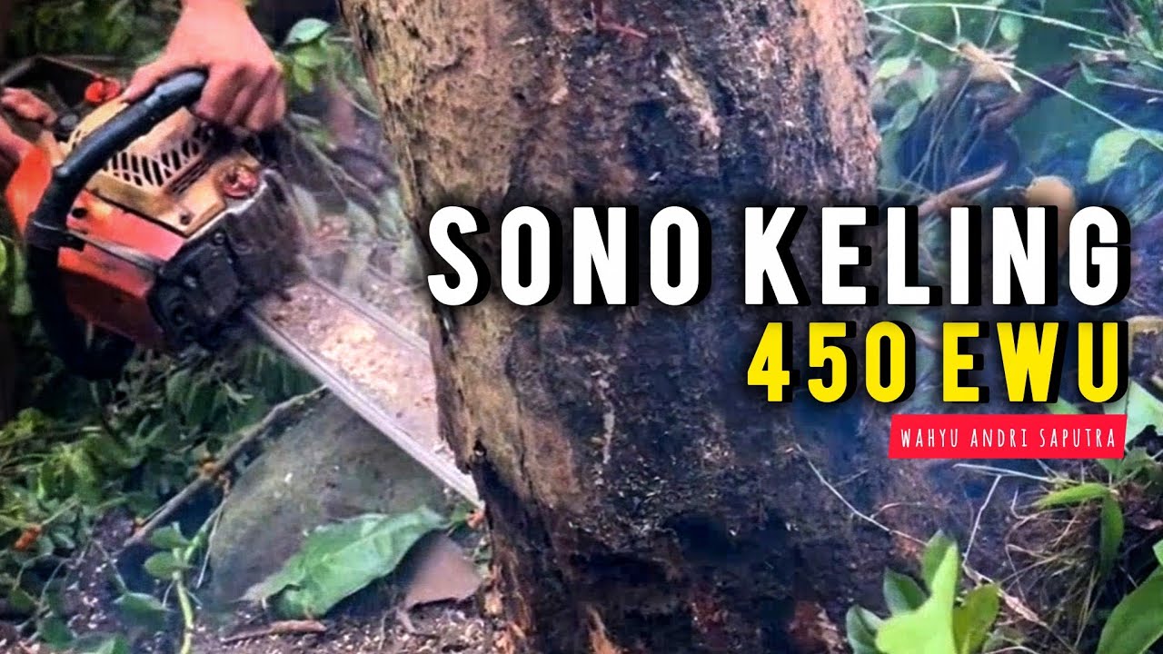 SONO KELING 450 EWU