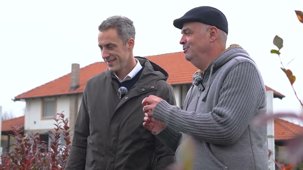 Plantaža kao ogledno polje: berač borovnica kakav niste videli