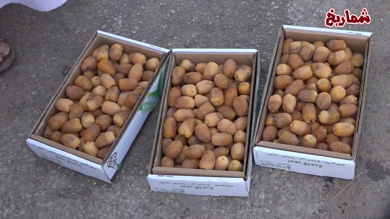 سوق التمر بعنيزة يوم الاثنين 18/  10/  1439هـ