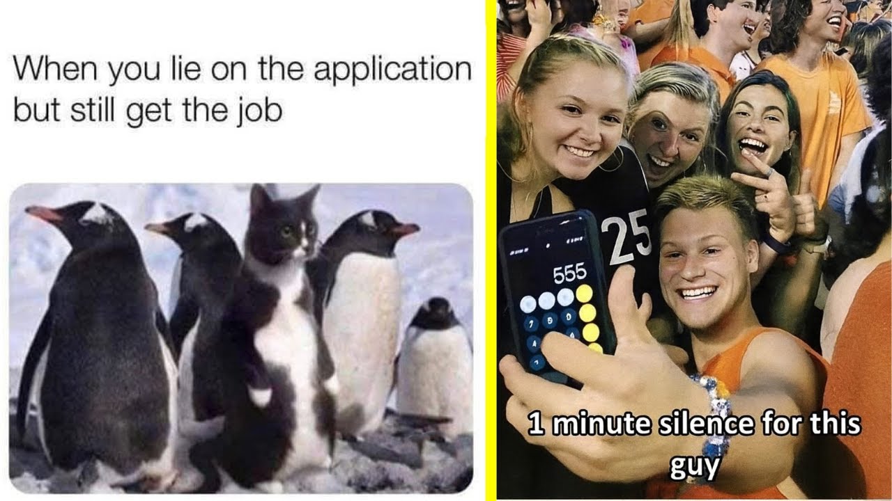 Memes I found on the Internet 5 | When you lie on the application but still get the job.