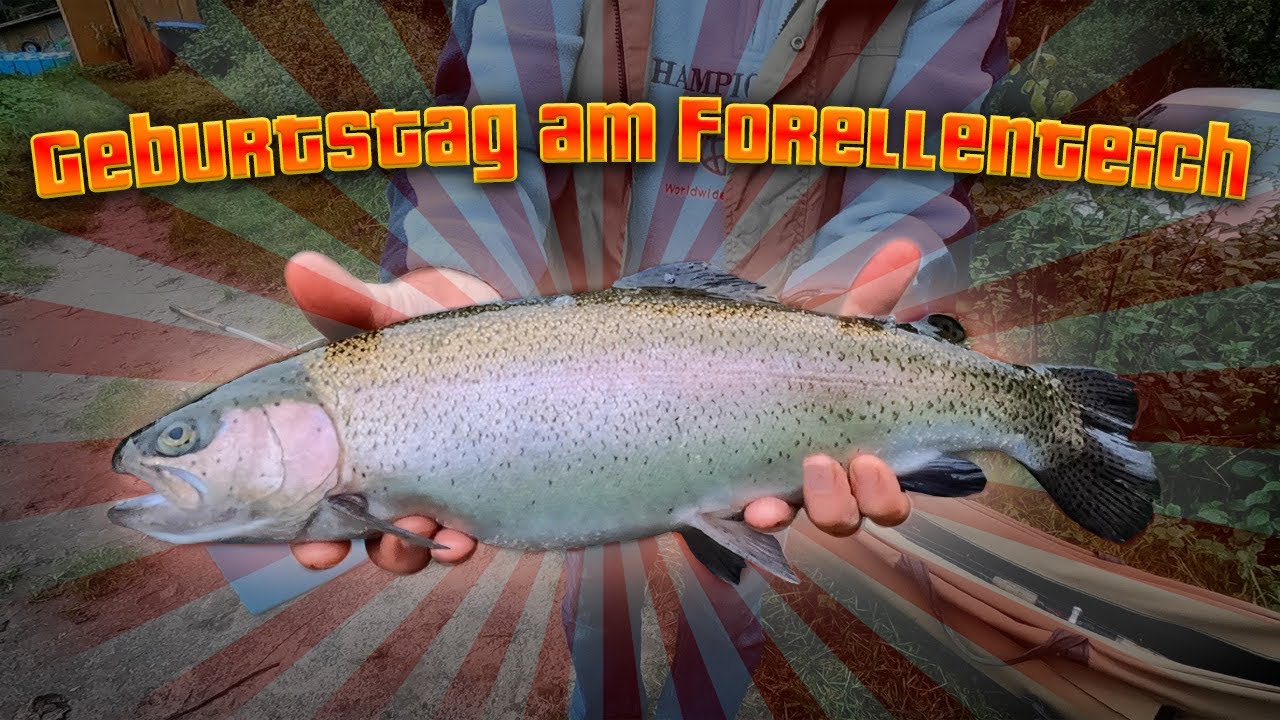 Geburtstagsparty am Forellenteich | Forellenangeln auf Spoon und Gummi