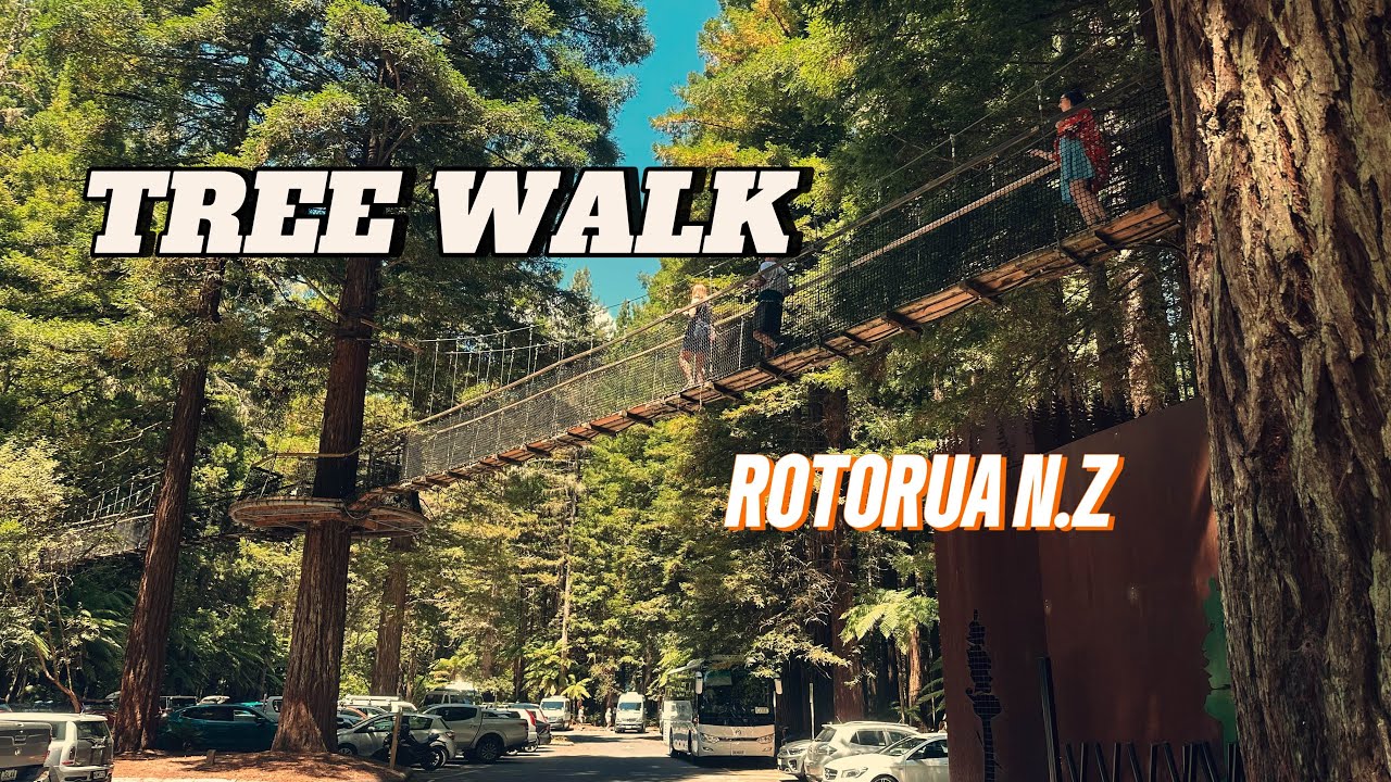 Tree Walk, Rotorua New Zealand