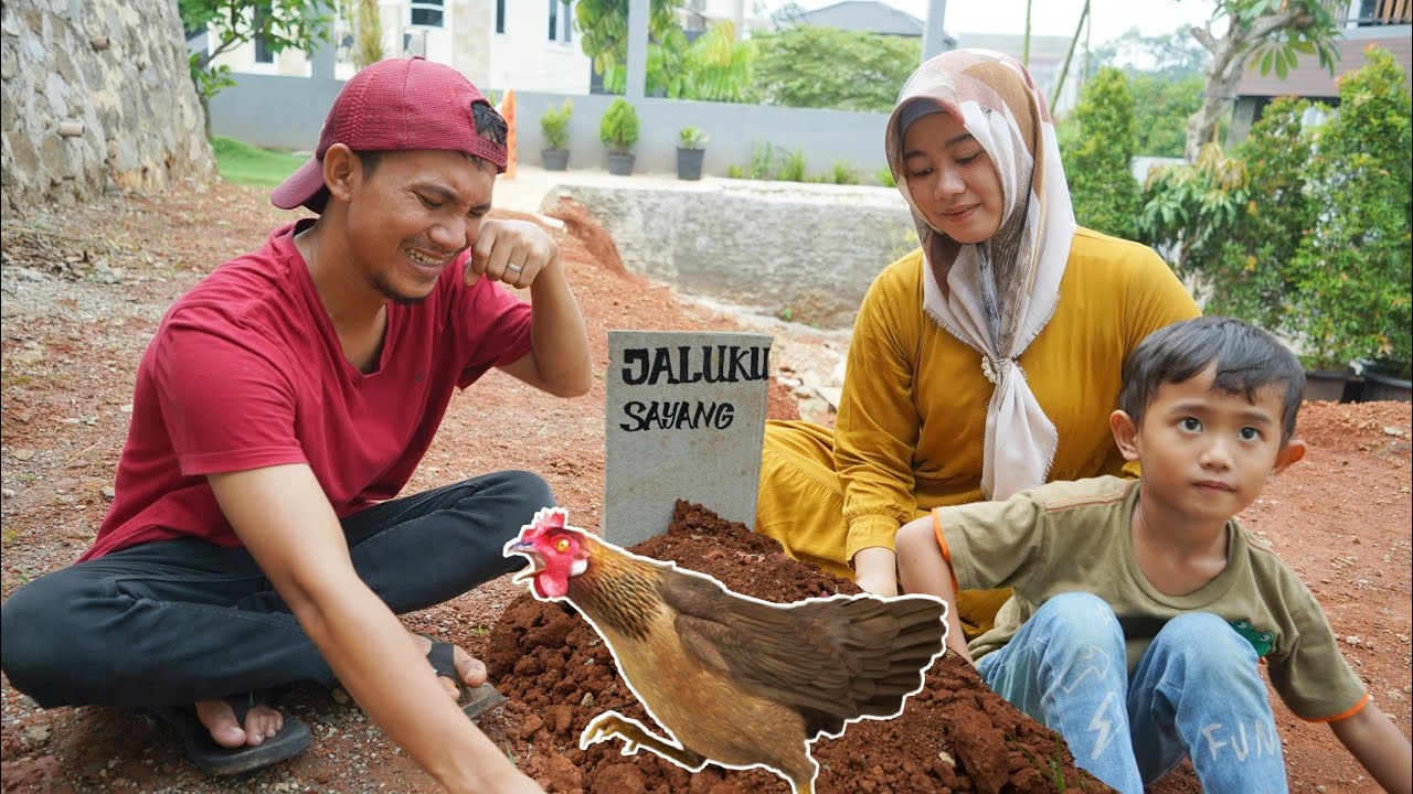 SEDIH AYAM KU MATI DIKUBUR 😭  Beli Hewan Peliharaan Ayam | Ali vlog