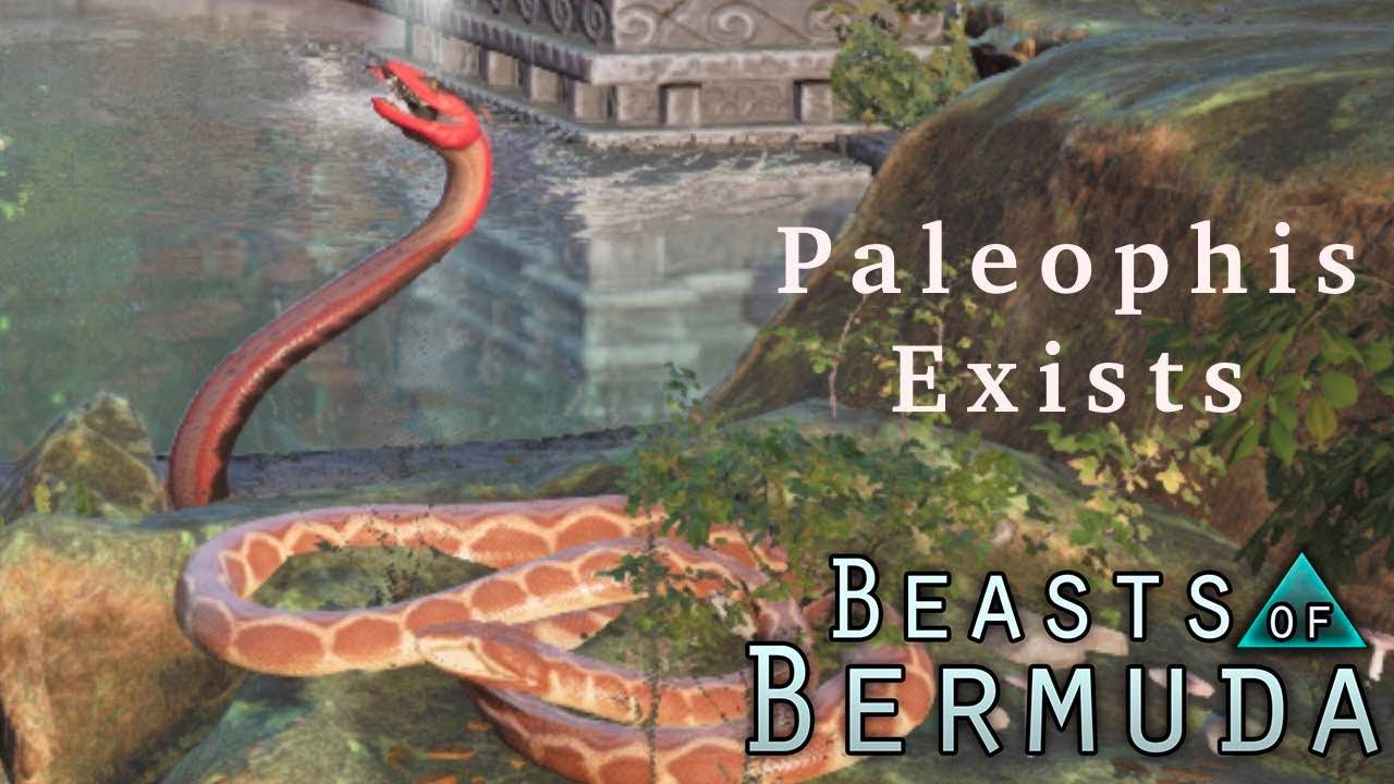 Most Average Aquatic Paleophis Experience | Beasts of Bermuda