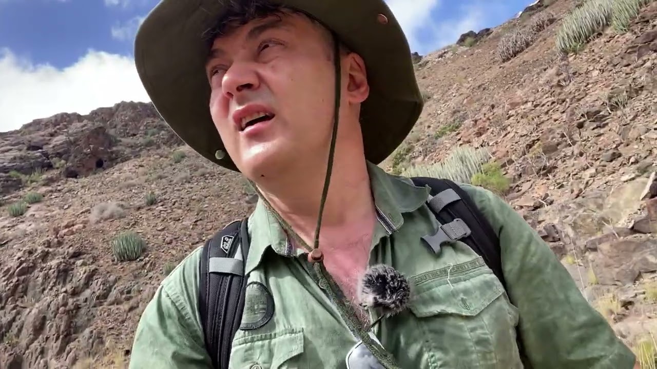 три дня отпуска день третий Пустошь Бомжи и Канарские пчёлы