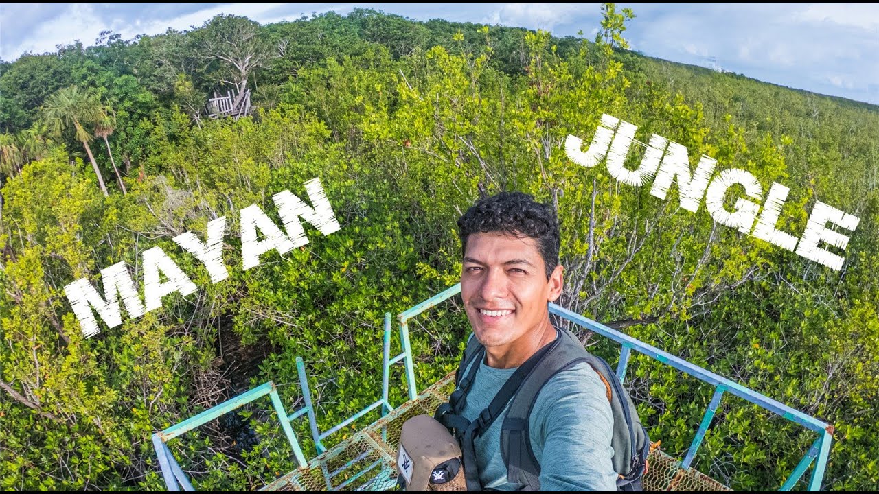 Riviera Maya Jungle Hike - Near Cancun Mexico