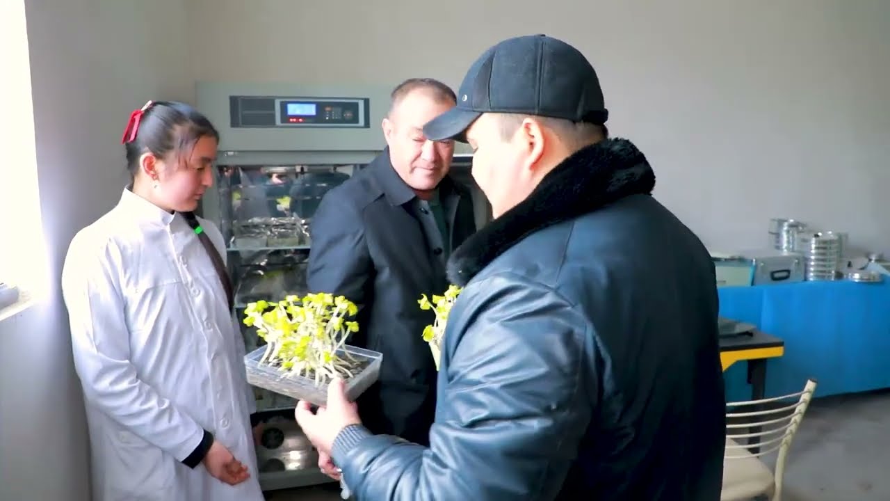 2026 йилги пахта ҳосили учун мустаҳкам пойдевор яратилмоқда