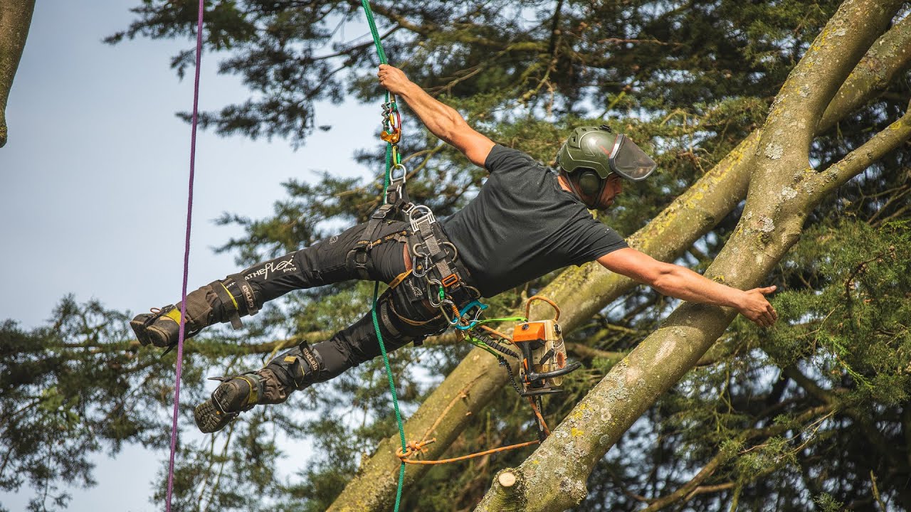Browns Tree Management - A Week on the Tools Part 1