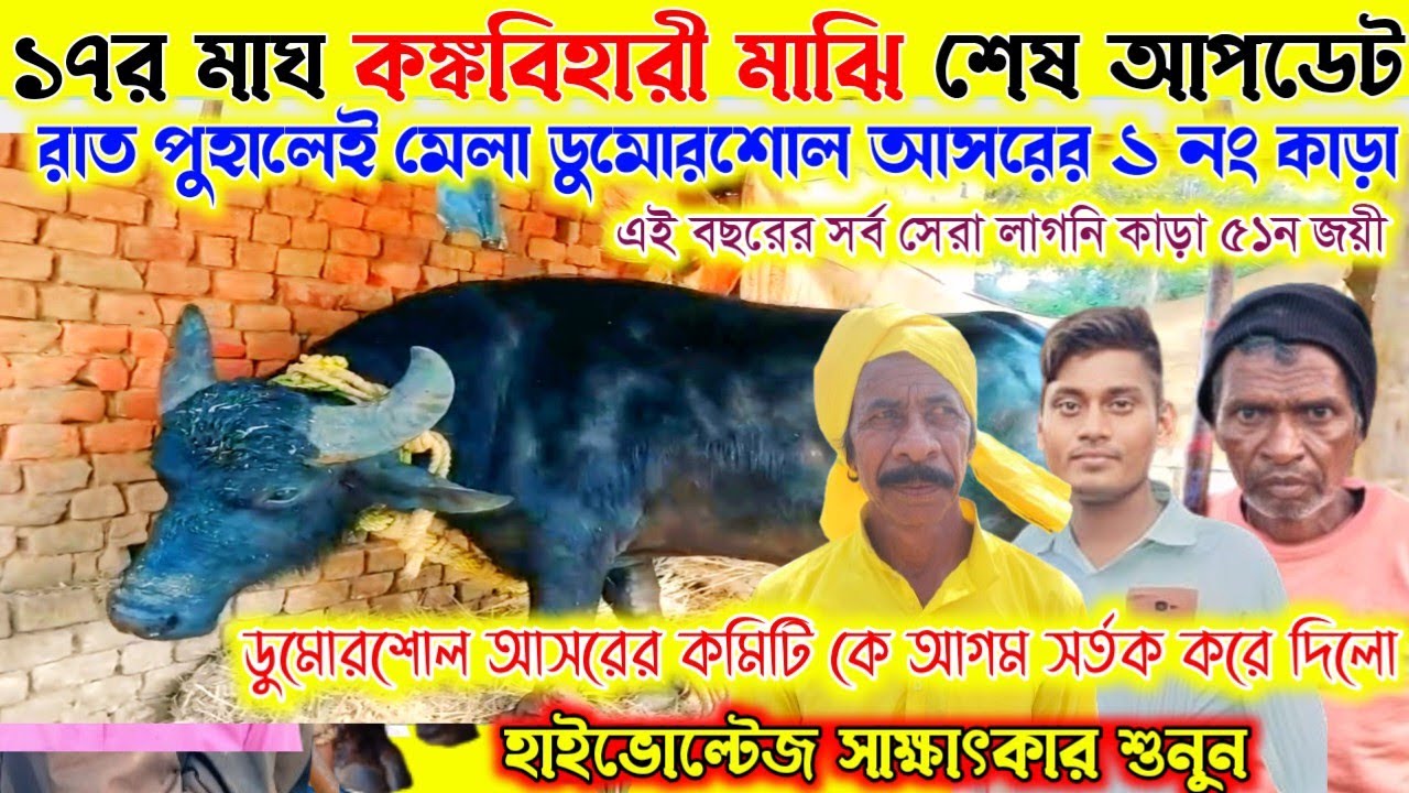রাত পুহালেই মেলা ডুমোরশোল 💯আসরের ১ নং কাড়ার জোড়া।কঙ্ক বিহারী মাঝির শেষ আপডেট।সাক্ষাৎকার শুনুন।