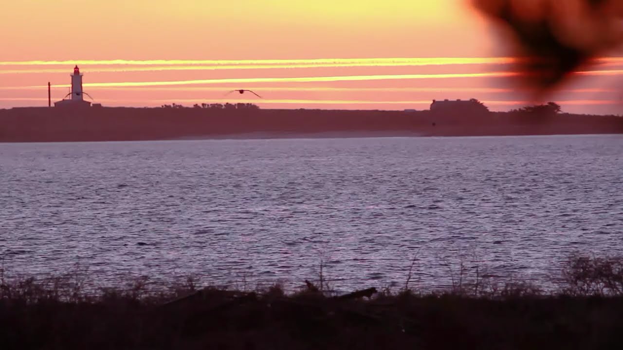 îles des glénan