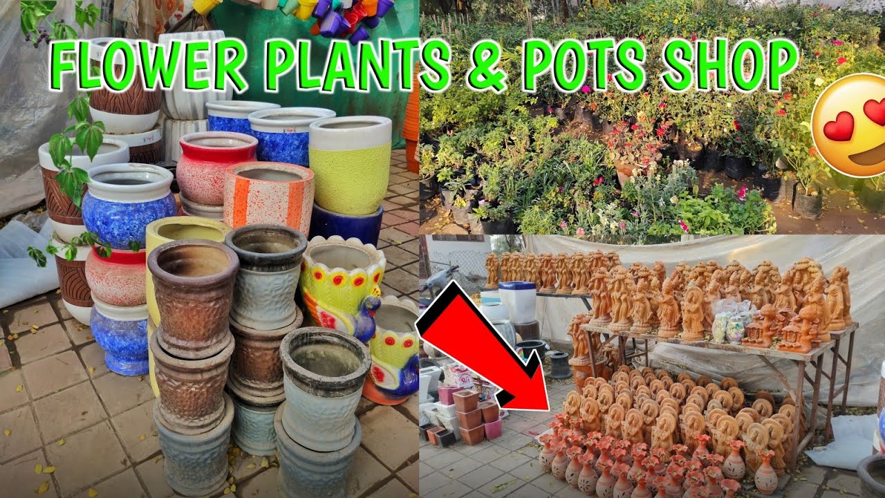 Nagpur Plant Shop Vlog 🌻 || Flower Plants & Pots Shopping 🛒 🏷️