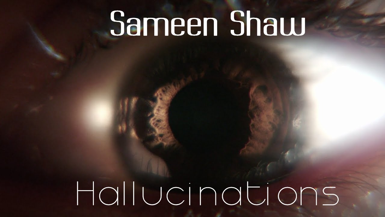 person of interest || sameen shaw || hallucinations