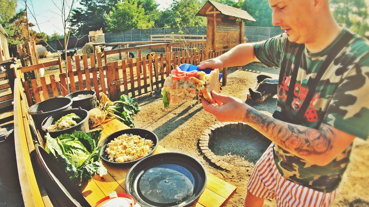 🧑‍🍳 JESTEM ICH PRYWATNYM KUCHARZEM 🧑‍🍳 ciekawskie kaczki i leniwe świnie 🐷 MOJE MINI ZOO / odc. 260