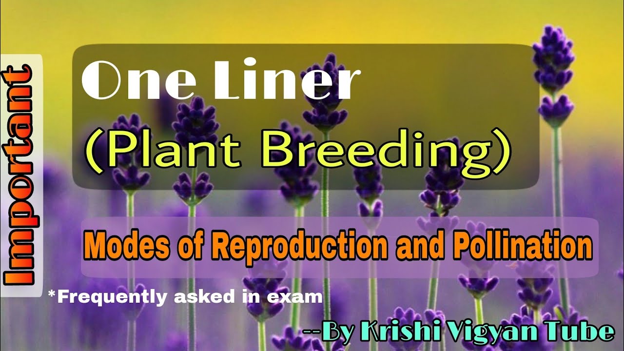 Modes of Reproduction and Pollination || Plant Breeding Imp. || One Liner || By KVT.