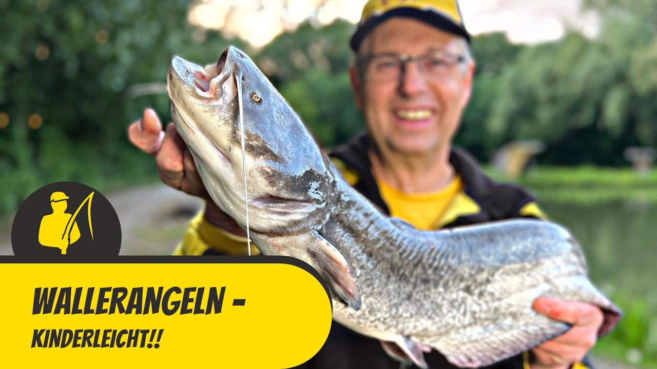 Wallerangeln - kinderleicht!