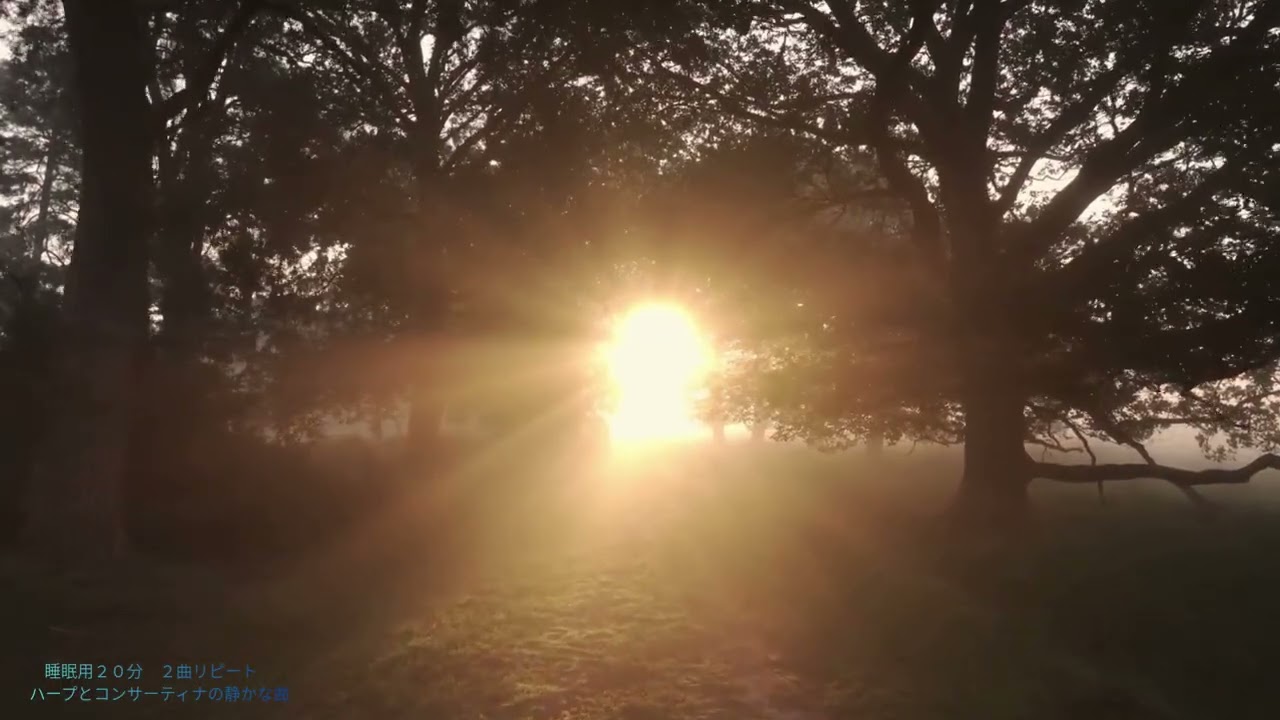 Consultative Celtic music　夕日を見ながら　2曲ループ　２０分　#作業用BGM #勉強用BGM #リラックス音楽 #ケルトBGM #森の音楽