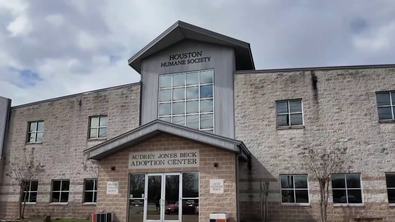 Houston Humane Society unveils community rebrand