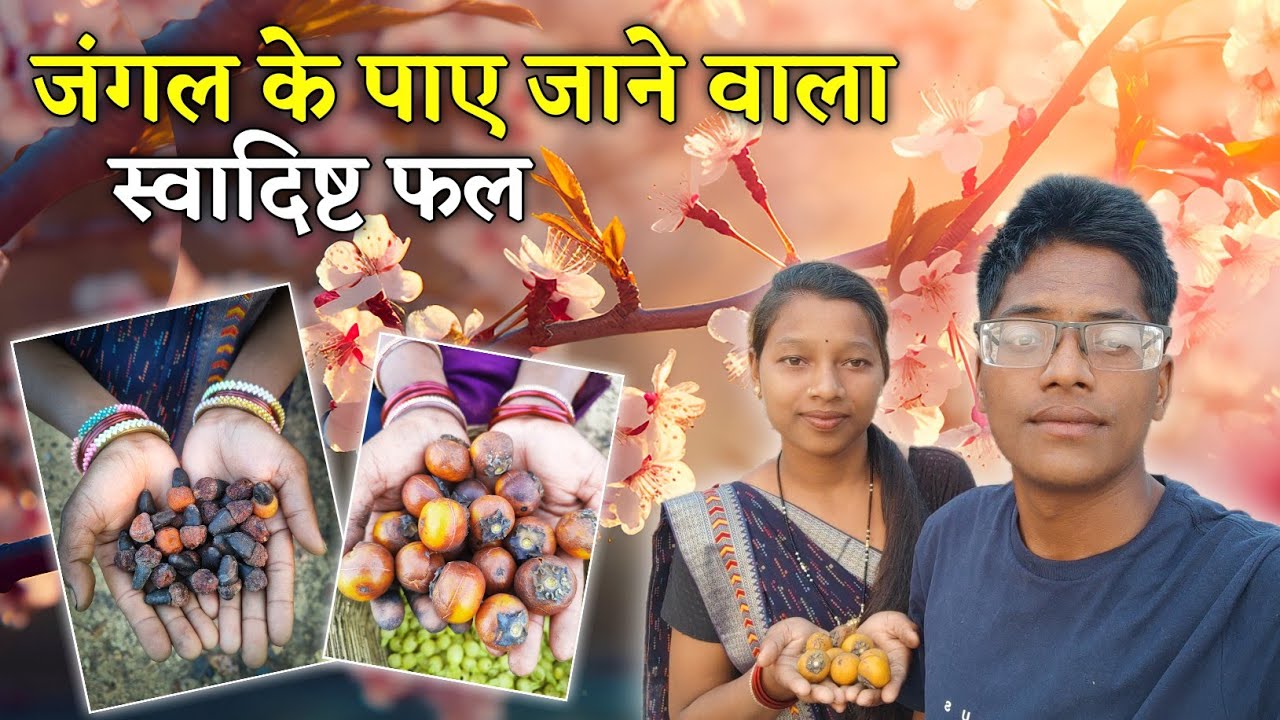 छत्तीसगढ़ के जंगल के स्वादिष्ट फल फूल🥰 | CG Vlog