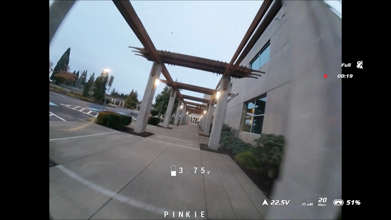 FPV - Sage