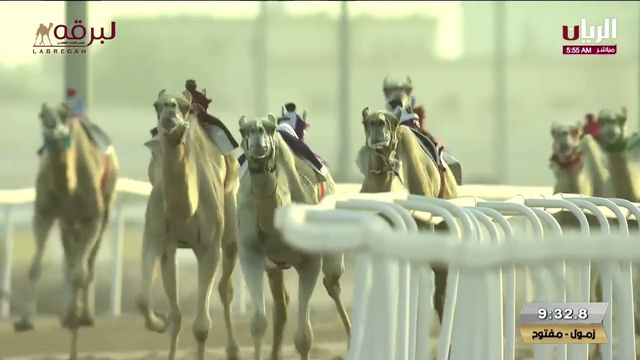 ش2 شعوان لـ الأمير تركي بن محمد بن فهد آل سعود (مهرجان أمير البلاد المفدى 13-04-2025ص) زمول 12:45:11
