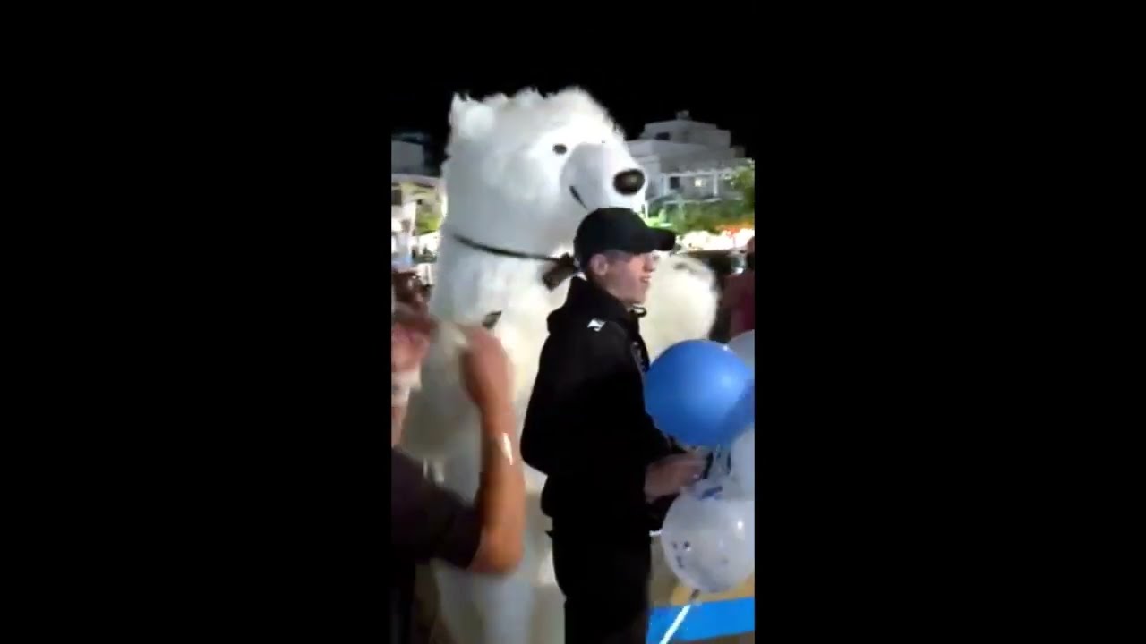 Заказать белого мишку на праздники в Афинах. Gift Delivery