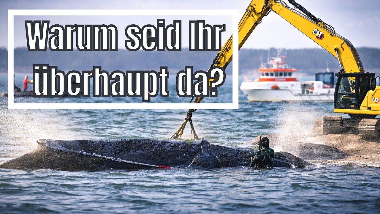 Warum seid ihr &uuml;berhaupt da ?  -  Zusammenarbeit RML - Zusammenfassung Statement der Baggerfahrerin