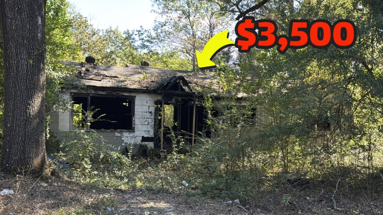 I Visited 3rd World Country USA Where Houses Cost $3,500