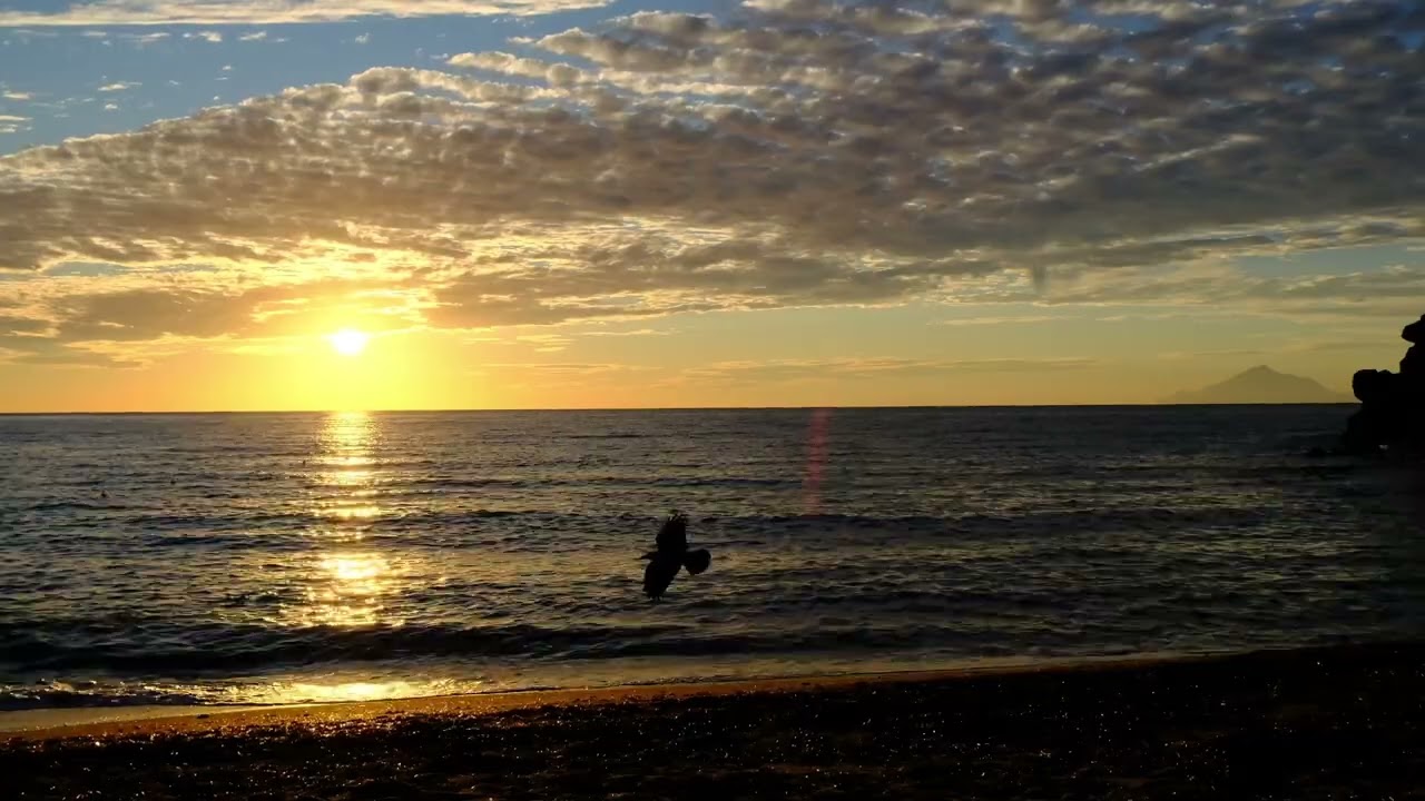 this might give you the peace you need (sunset by the sea with natural sounds)