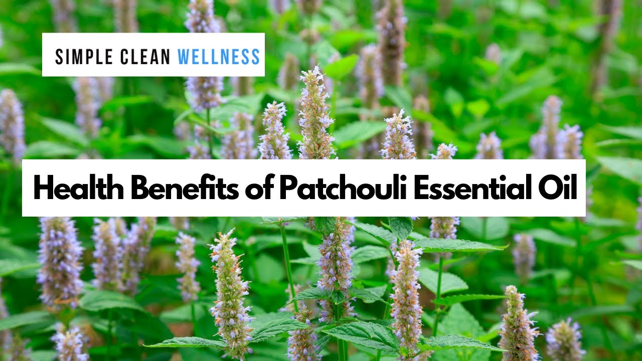 Patchouli Essential Oil Health Benefits