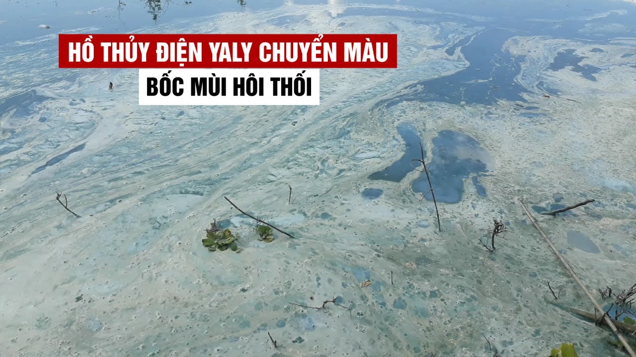 Hồ thủy điện Yaly chuyển màu, bốc mùi hôi thối kinh hoàng
