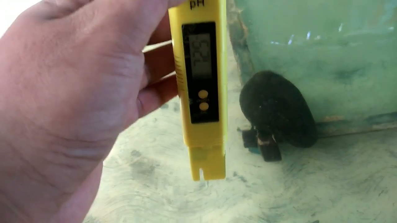 Catfish FRY Management 3 || Water Temperature and Ph Level Monitoring