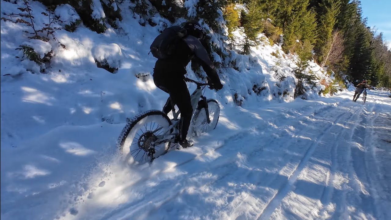 Snowhub gruppen shreda 