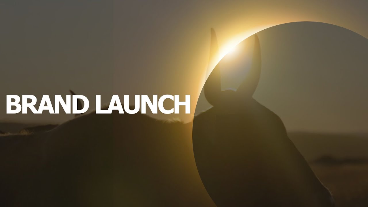 Walter Sisulu Brand Launch