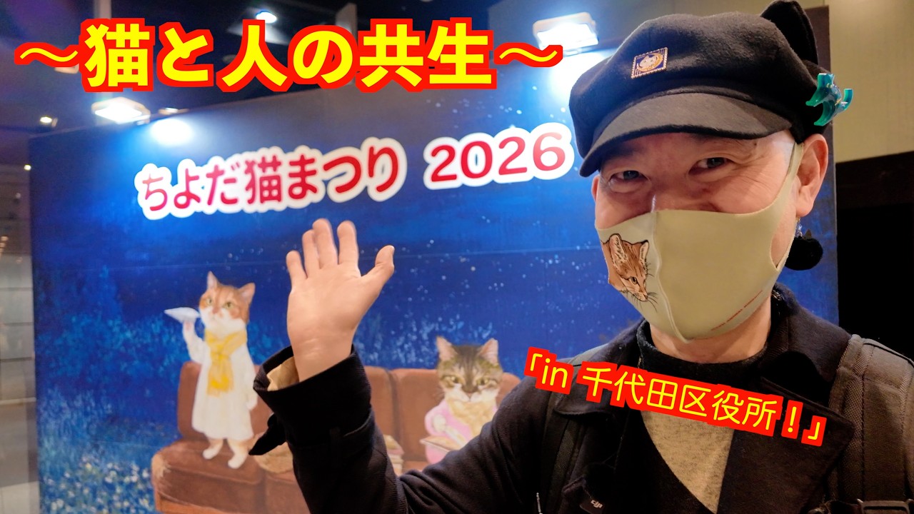 【ちよだ猫まつり2026】猫と人の共生を目指す、チャリティイベント♪