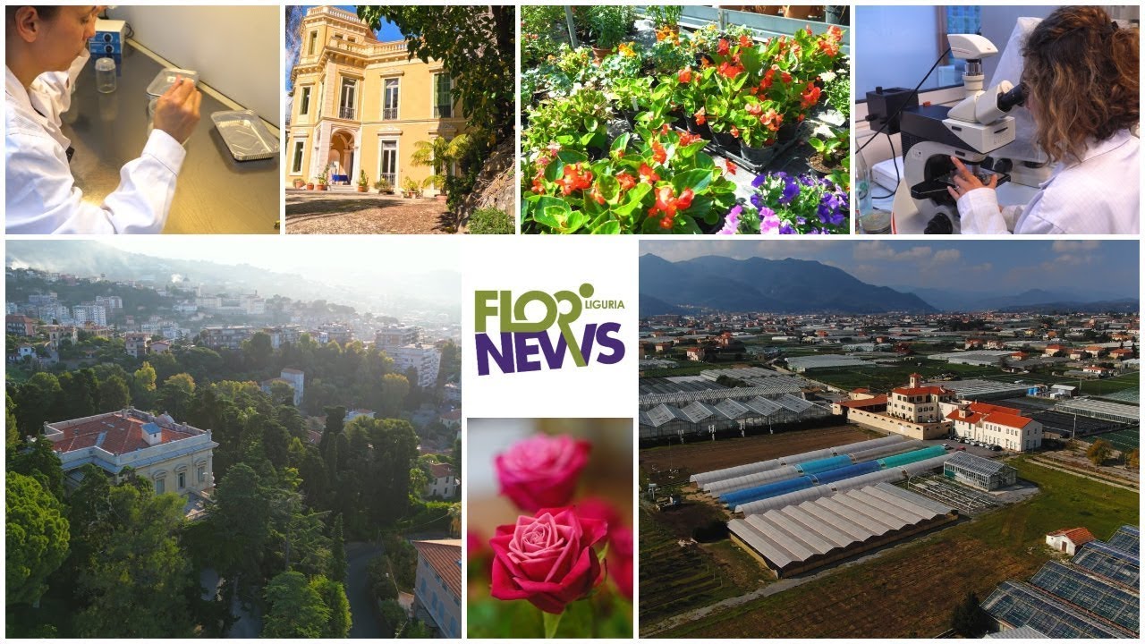 Horticultural research institutions in Liguria: CREA-OF, IRF and CeRSAA