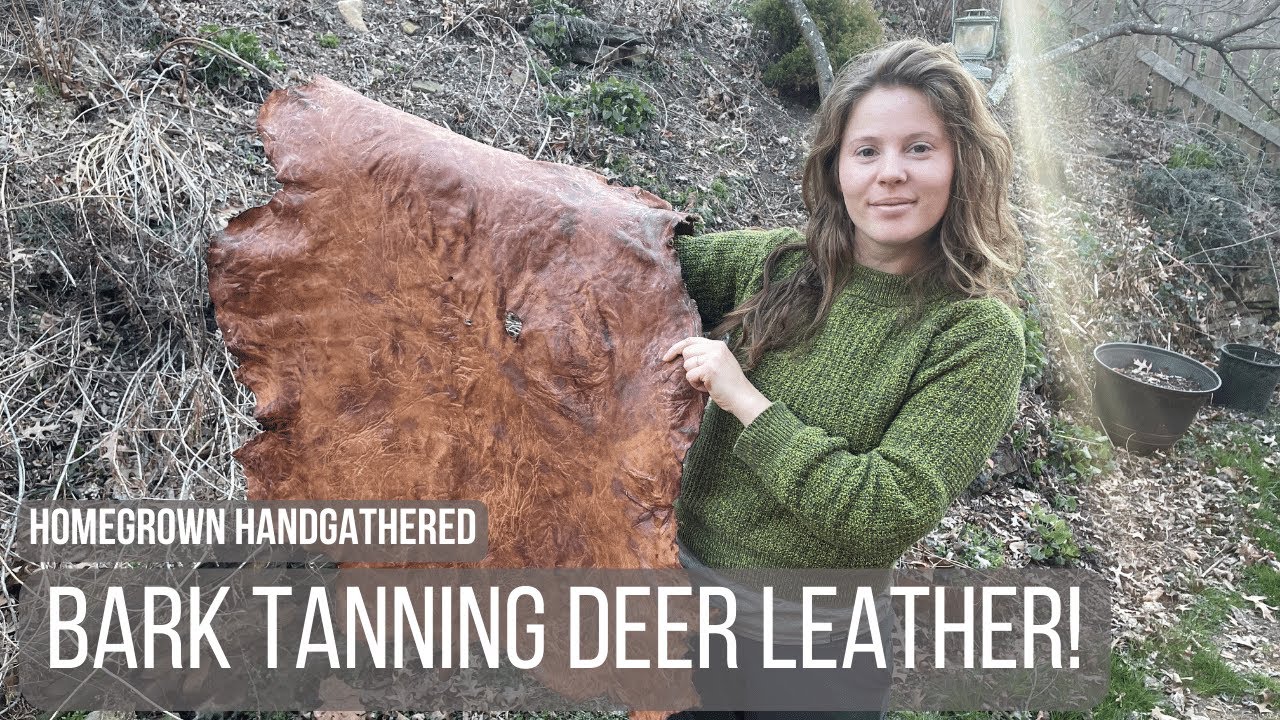 Making Deer Leather using Acorns and Oak Bark!