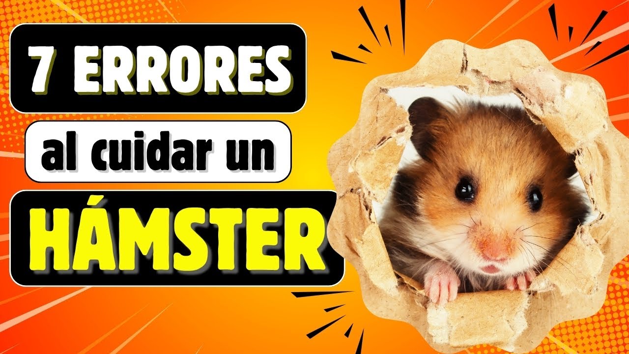 7 errores comunes al cuidar un hámster 🐹 (y cómo evitarlos)