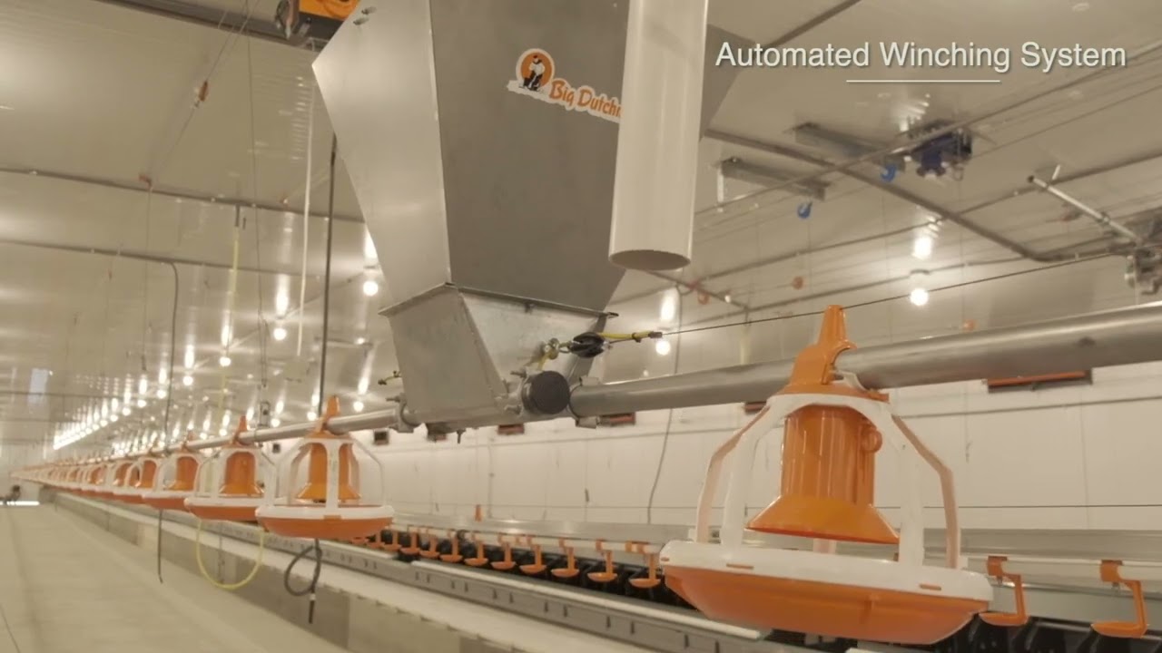 Broiler Breeder Farm in Taiwan | Turnkey Project