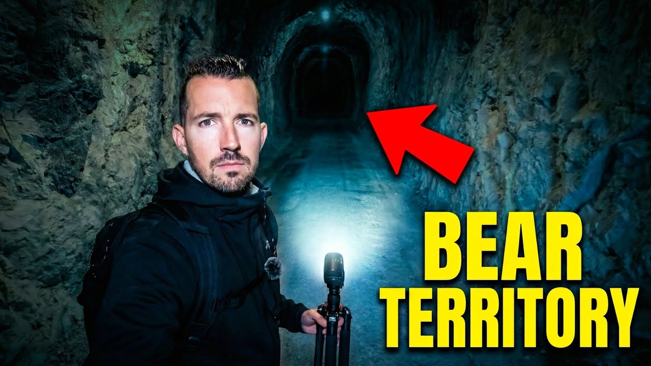 Можно ли найти медведя в Испании? 🐻🇪🇸