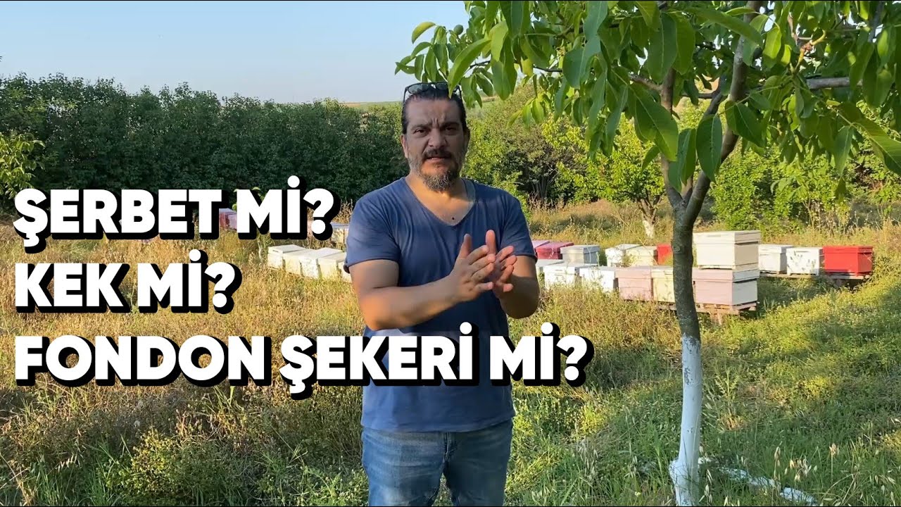Beslemede Öncelik Sıralaması Hangisi Olmalı ?