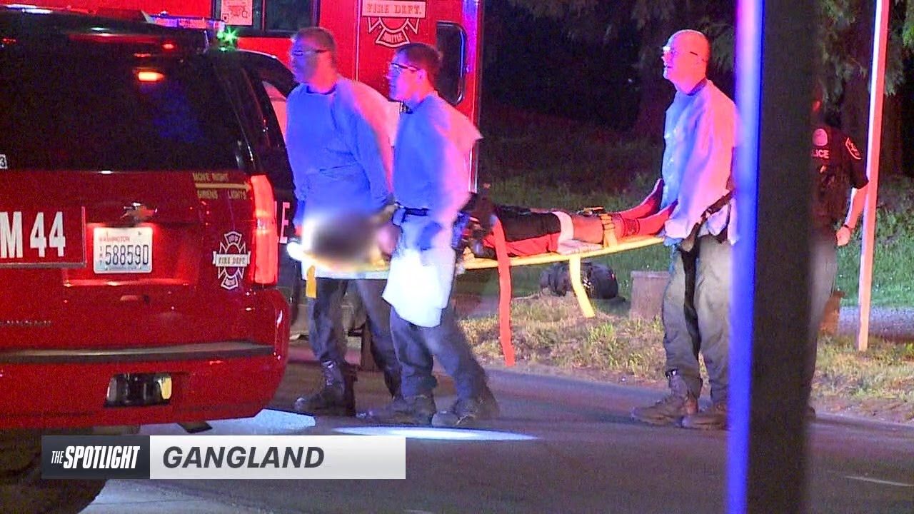 The Spotlight: Gangland | FOX 13 Seattle