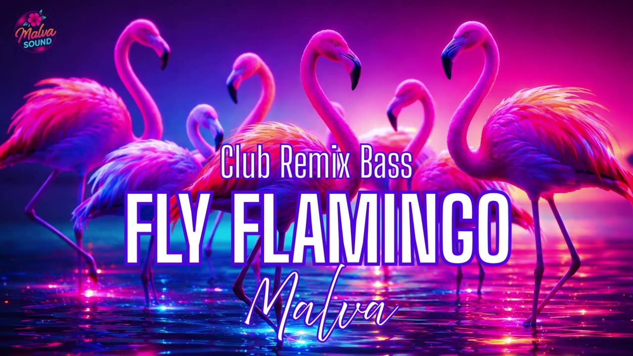 Fly Flamingo &ndash; GOOMBAY DANCE BAND (Cover Malva Sound Club Bass Remix)